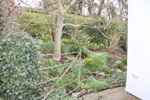 Photo 21- click for photo gallery